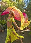 Phoebe sydney Bellydancers